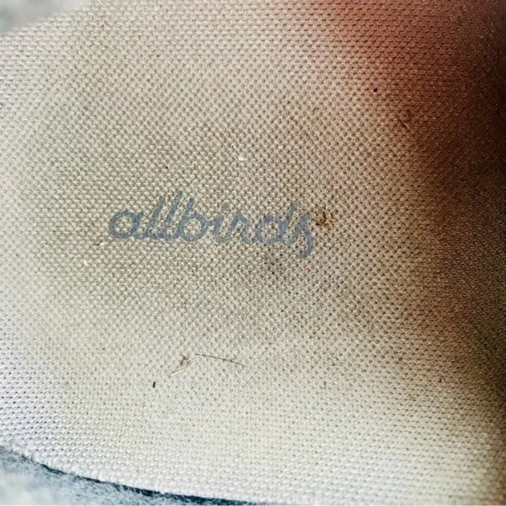 AllBirds Blue Sneakers Size 13